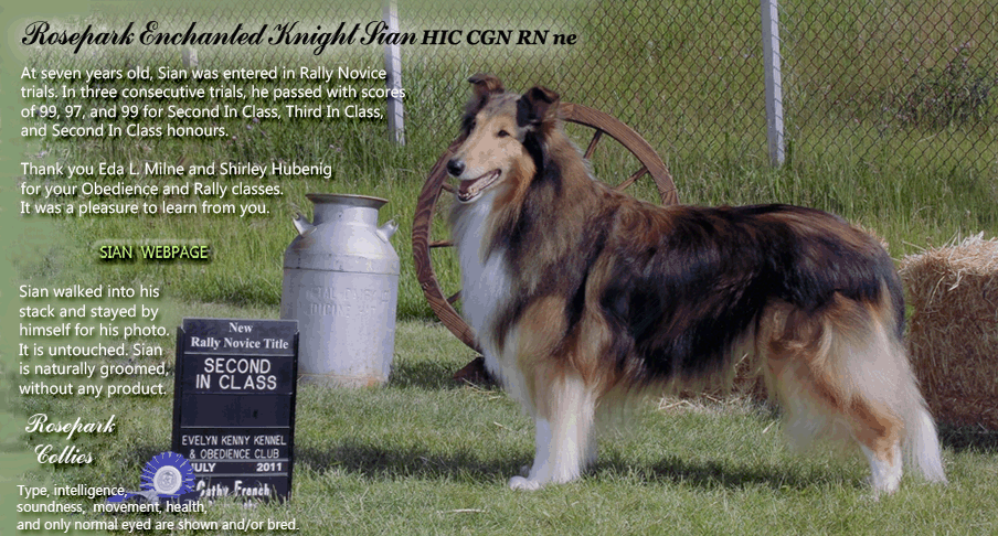 Collies OnLine